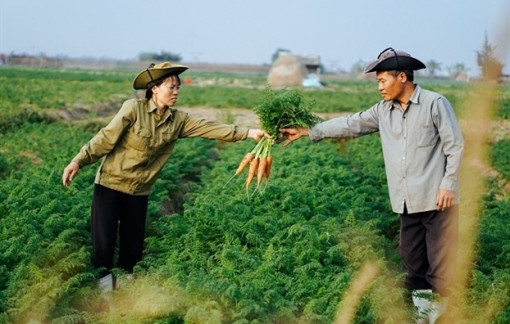 Lẽ nào thấy chồng khổ là buông