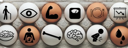 Với 12 lợi ích này dù ghét trứng gà cũng cố gắng ăn