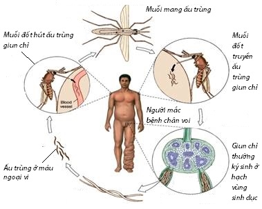 Bo Y te cong bo 9 su kien noi bat cua nam 2018