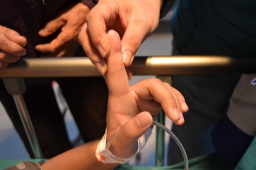 Nữ sinh 14 tuổi hôn mê, nguy kịch vì… kiến cắn