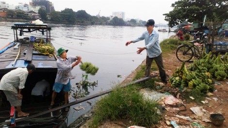 Sài Gòn, hễ còn ăn trái, chơi bông…