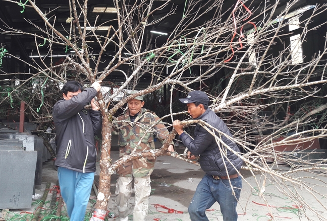 Sang Lao ‘san’ dao... ngoai ban tet