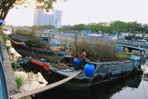 Hoa kieng mien Tay vua cap ben, nguoi Sai Gon lua ngay tren thuyen