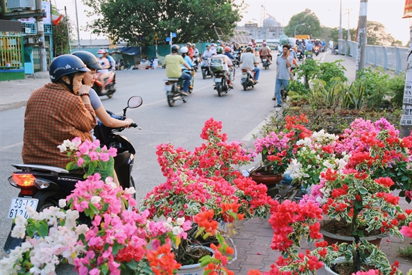 Hoa kieng mien Tay vua cap ben, nguoi Sai Gon lua ngay tren thuyen