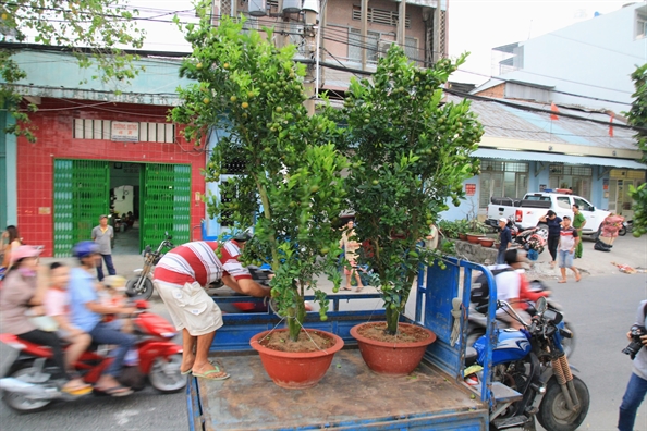 Tai xe truyen thong lan 'cong nghe' bo khach de cho hoa