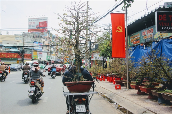 Tai xe truyen thong lan 'cong nghe' bo khach de cho hoa