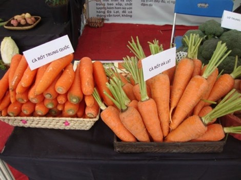 Ai nên hạn chế ăn cà rốt, củ cải trắng?