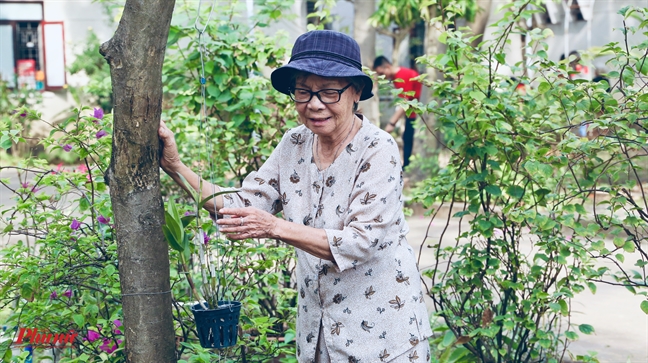 Ngay cuoi nam o Vien duong lao: 'soan' cho minh cai tet khong con chau