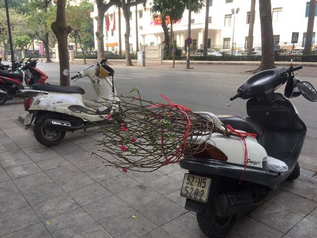 'Check in' tet Ha Noi: thu do vang tanh ngay cuoi nam