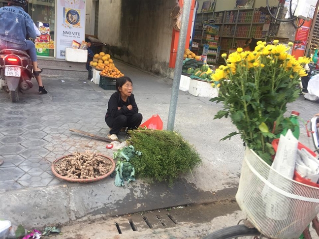 'Check in tet' Ha Nam: Bo mui gia chieu cuoi nam