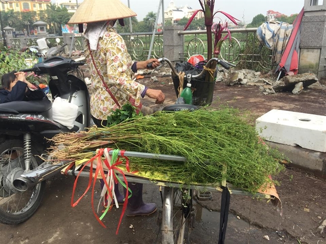 'Check in tet' Ha Nam: Bo mui gia chieu cuoi nam