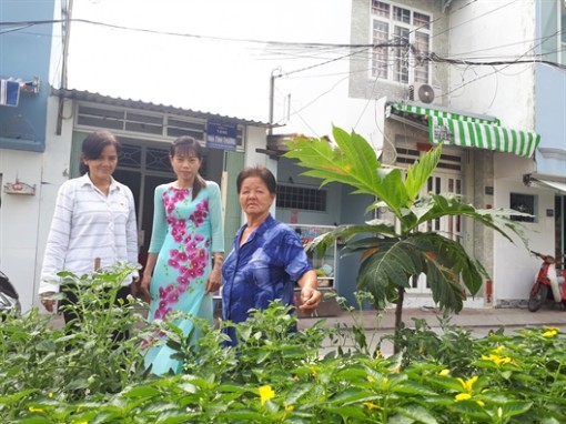 Hội viên chung tay cải thiện môi trường sống
