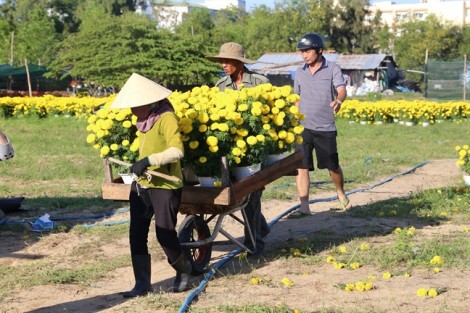 Con sẽ lại về