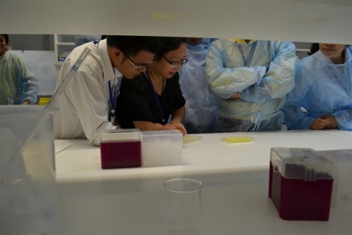 Ở đâu có dịch bệnh, ở đó có chị Hương