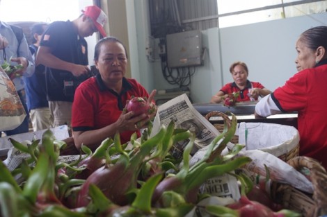 Muốn xuất khẩu vào Trung Quốc, rau quả Việt Nam phải truy xuất được nguồn gốc