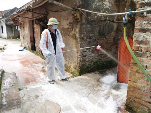 Đề xuất không quy định 'cứng' giá hỗ trợ tiêu hủy lợn