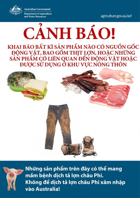 Úc lưu ý du khách về an ninh sinh học trước dịch tả lợn châu Phi