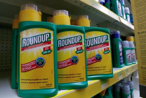 Tòa án Mỹ phán quyết thuốc diệt cỏ Roundup gây ra bệnh ung thư