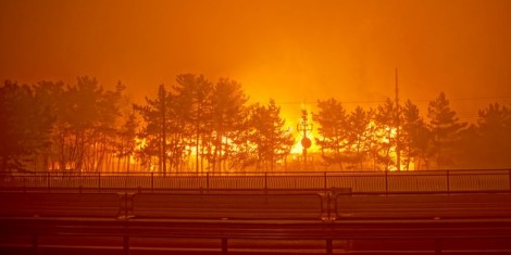 Nghệ sĩ Kpop tích cực quyên góp và hoãn lịch trình sau thảm họa cháy rừng