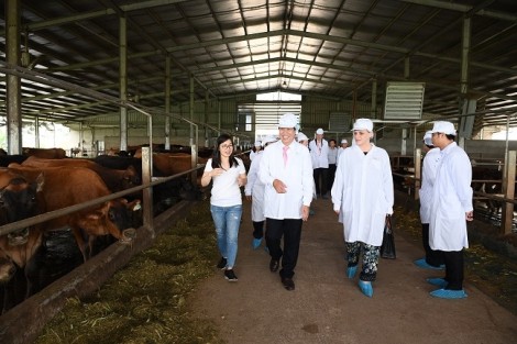 Sữa Cô Gái Hà Lan vinh dự đón tiếp Thứ trưởng Hà Lan đến thăm dự án phát triển vùng chăn nuôi bò sữa bền vững tại tỉnh Hà Nam