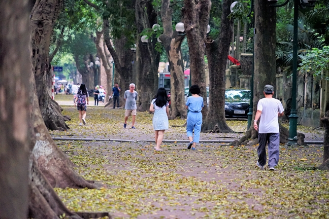 Nguoi Ha Noi chup anh voi la sau nhuom vang pho phuong ngay cuoi dot nghi le