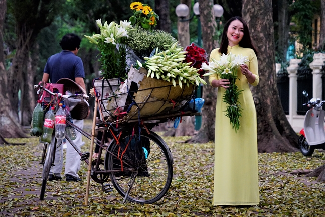 Nguoi Ha Noi chup anh voi la sau nhuom vang pho phuong ngay cuoi dot nghi le