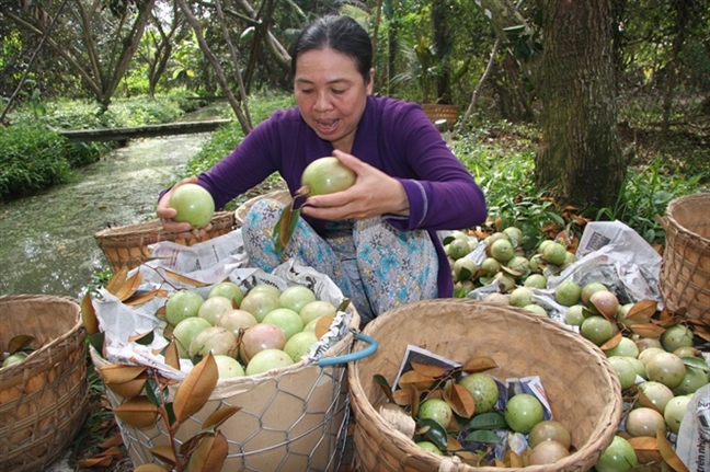 Nong san dat chuan,  duong tieu thu  se thenh thang hon