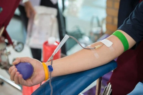 TP.HCM phấn đấu đạt trên 260.000 lượt người hiến máu