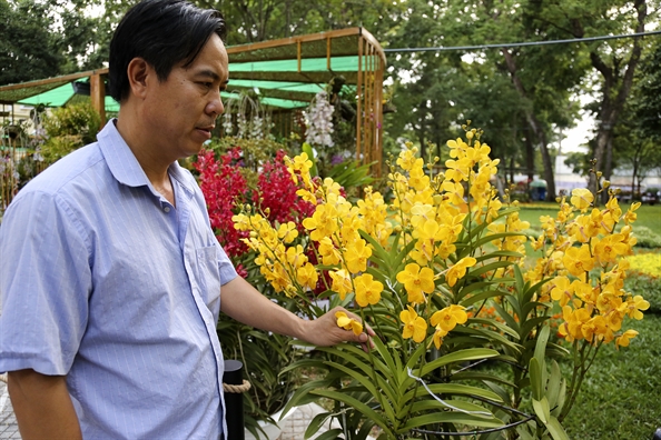 Chiem nguong hang tram loai hoa khoe sac o Festival hoa lan TP.HCM