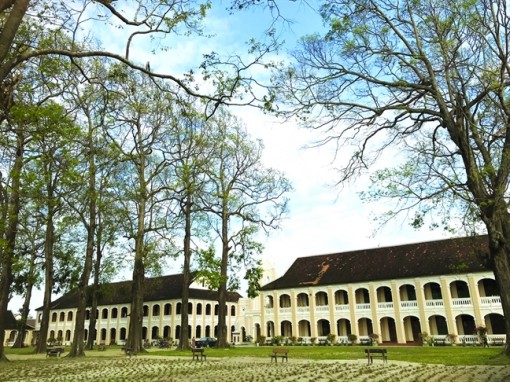 Cảm ơn một thoáng con gần thiên nhiên