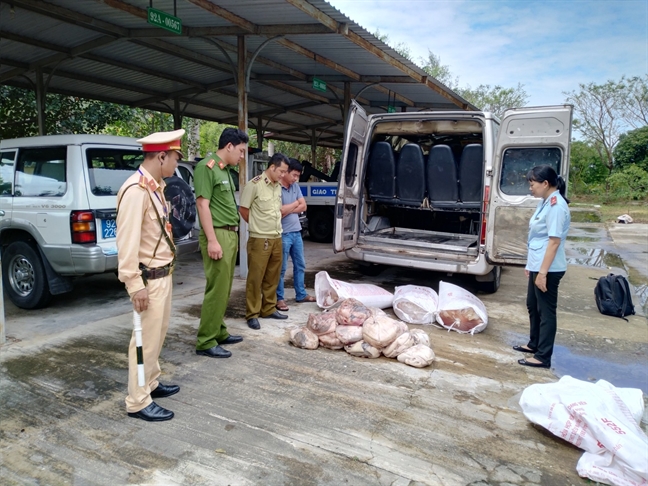 Quang Nam: Bat giu xe khach cho hon 500kg thit boc mui hoi thoi