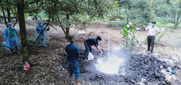 Binh Phuoc: Xuat hien them 2 o dich ta heo Chau Phi