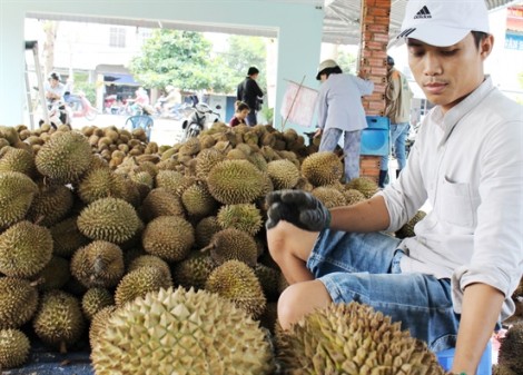 'Kẹt' ở cửa khẩu vào Trung Quốc, sầu riêng chợ đầu mối vẫn giữ được giá cao