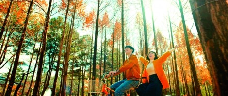 Ước hẹn mùa thu: vị lạ của phim Việt