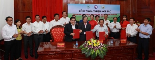 C.P nuôi gà theo chuỗi phục vụ xuất khẩu