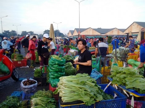 Nhiều nông sản Việt bị các nước trả lại, hàng trong nước có an toàn?