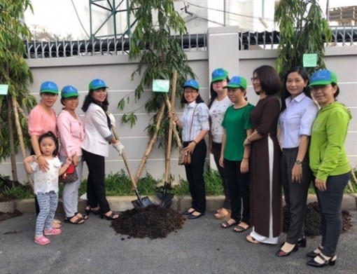 Cây xanh cho công sở và mảng xanh ở từng hộ gia đình