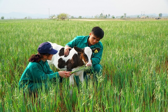 Dau tu 120 trieu USD, Vinamilk hop tac xay dung to hop ‘resort’ bo sua organic tai Lao