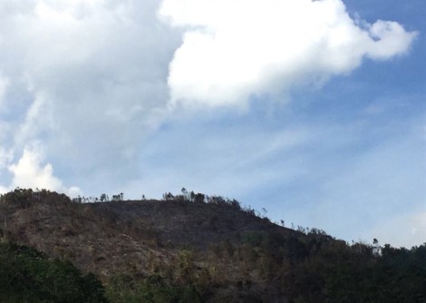 Hàng trăm người leo đỉnh núi dập lửa cứu rừng trong nắng nóng 40 độ C