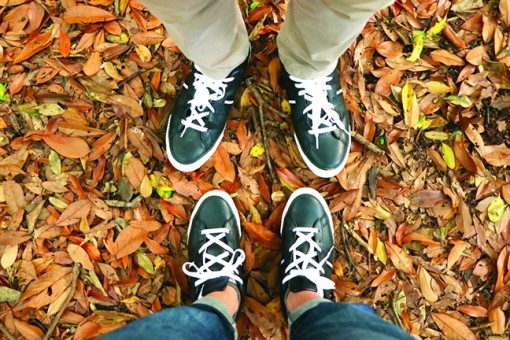 Phải có chồng bằng mọi giá?