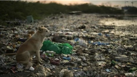 Việt Nam nằm trong nhóm nước chiếm hơn một nửa số chất  thải nhựa trôi ra đại dương