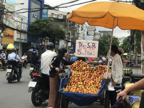 Đào Trung Quốc ‘gắn mác’ Sapa bán la liệt tại Sài Gòn