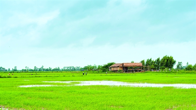 Ve Hong Ngu 'tham lo ngo dong'