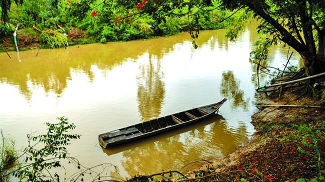 Ve Hong Ngu 'tham lo ngo dong'