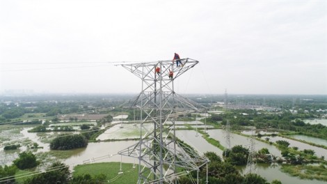 Chính thức vận hành đường dây 220kV Nam Sài Gòn - quận 8