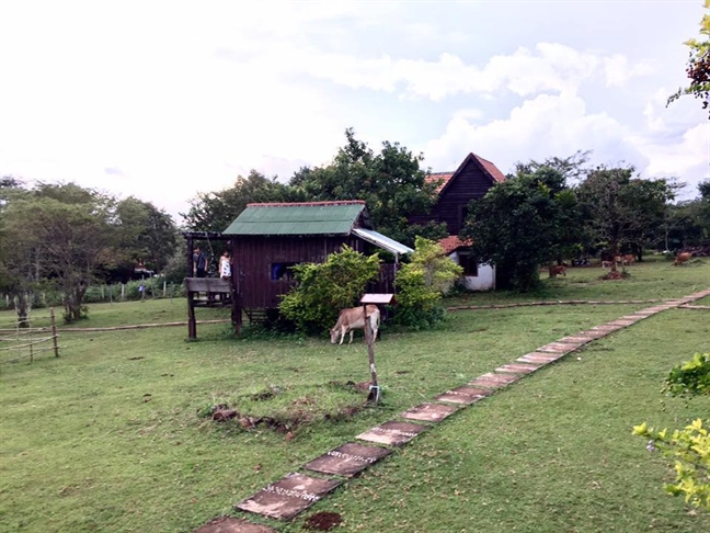 Cach cua khau Binh Phuoc 200km, cao nguyen Mondulkiri hoang da se cho ban nhung trai nghiem vo cung thu vi