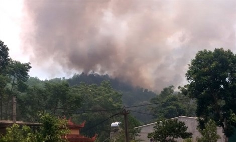 Rừng ở Hà Tĩnh lại cháy lớn trong nắng nóng và gió Lào ngay sát đường dây điện