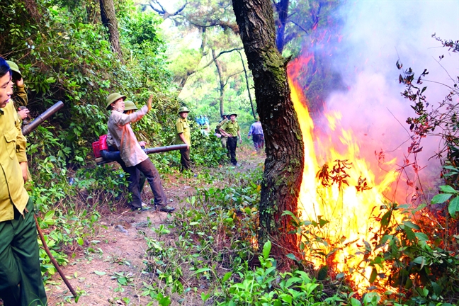 Chong chay rung kieu 'tay khong bat giac'