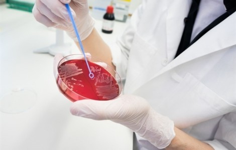 Nhà khoa học Thụy Điển phát hiện siêu vi khuẩn đường ruột tại bệnh viện Việt Nam