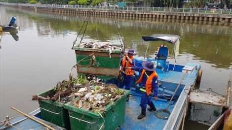 Nhìn người vớt rác, sao ta không xót xa?